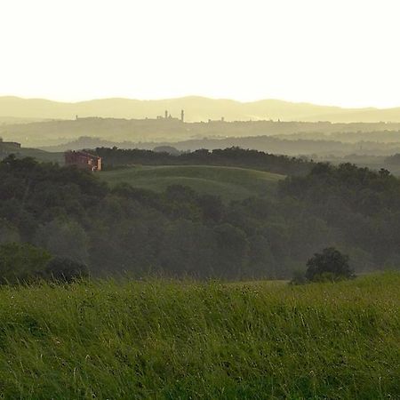 Agriturismo San Fabio Castelnuovo Berardenga Exteriör bild