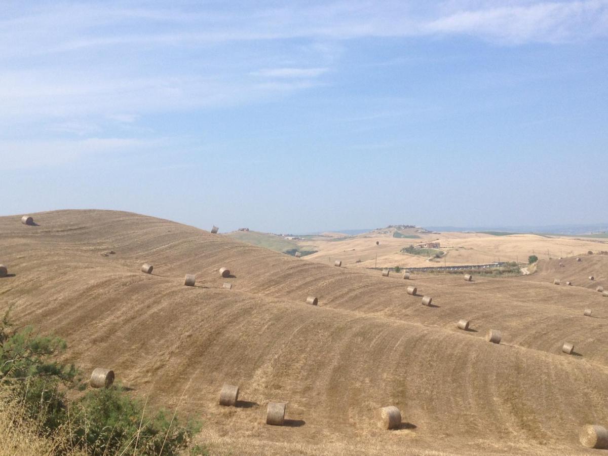 Agriturismo San Fabio Castelnuovo Berardenga Exteriör bild